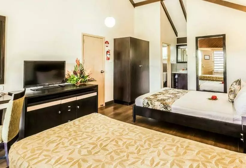 استودیوی استاندارد, Tokatoka Resort