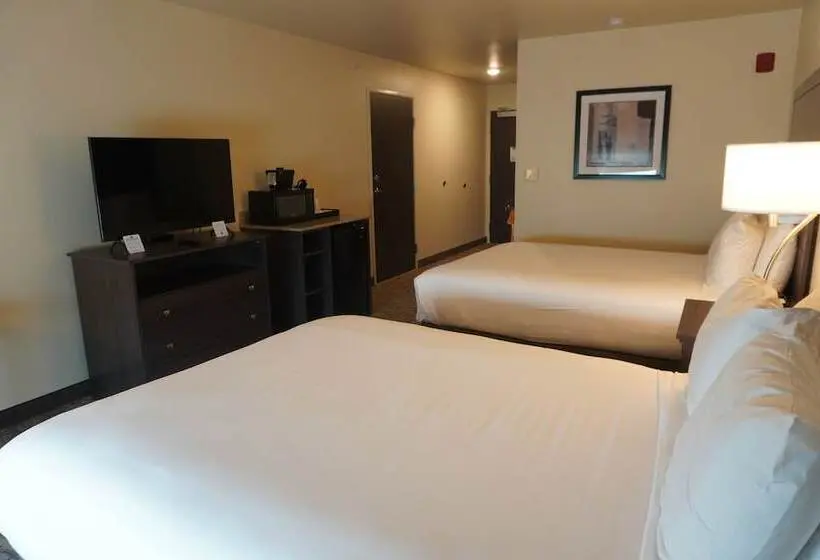 身障者適用スタンダードルーム, Comfort Inn & Suites