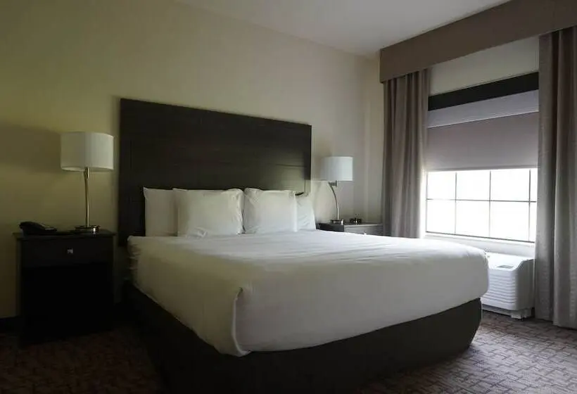 身障者適用スイートルーム, Comfort Inn & Suites