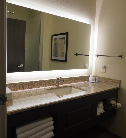 带大床的标准间, Comfort Inn & Suites