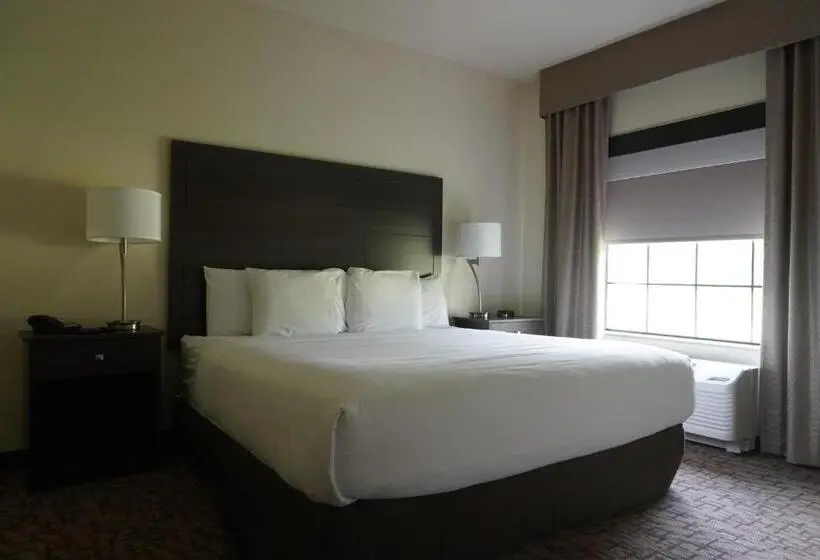 身障者適用キングサイズベッドルーム, Comfort Inn & Suites