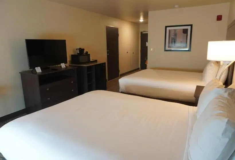 身障者適用スタンダードルーム, Comfort Inn & Suites