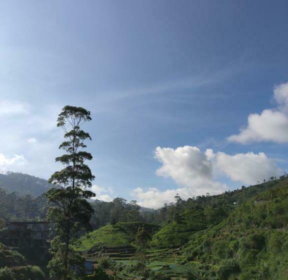 싱글 디럭스 룸, Singing Hills