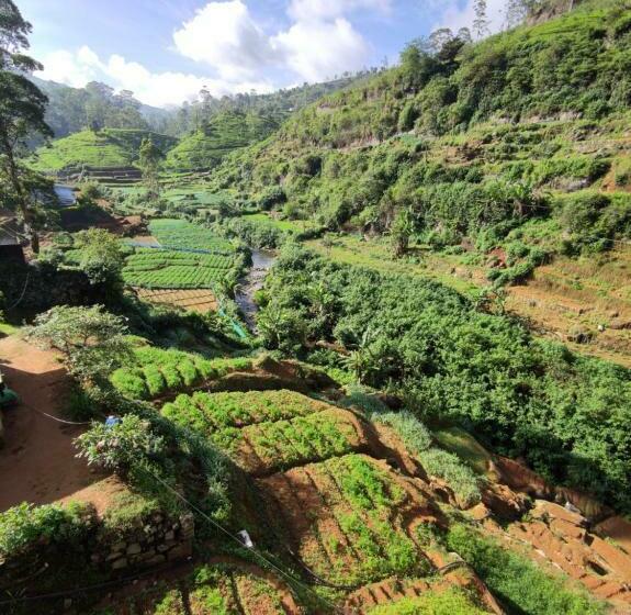 싱글 디럭스 룸, Singing Hills