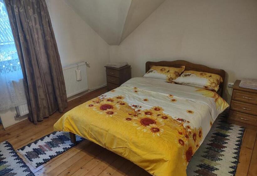 חדר סטנדרט עם מרפסת, Pensiunea Ghiță Vasile