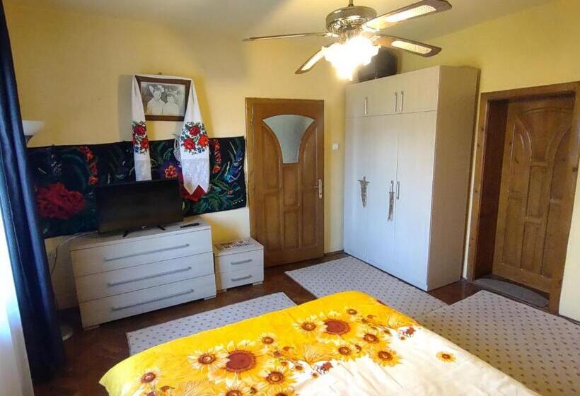 דירת חדר בקומת קרקע, Pensiunea Ghiță Vasile