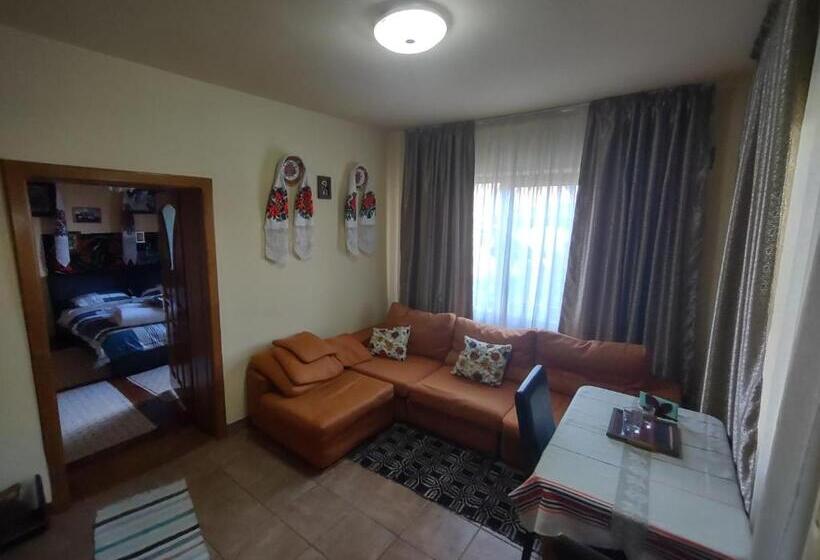 דירת חדר בקומת קרקע, Pensiunea Ghiță Vasile