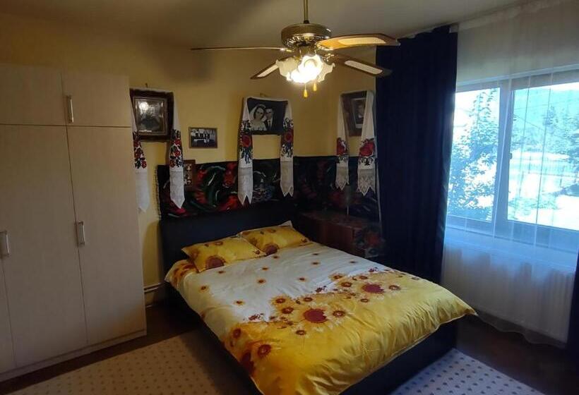 דירת חדר בקומת קרקע, Pensiunea Ghiță Vasile