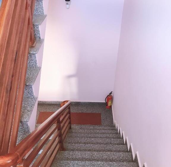 اتاق اکونومی, Nấm Home