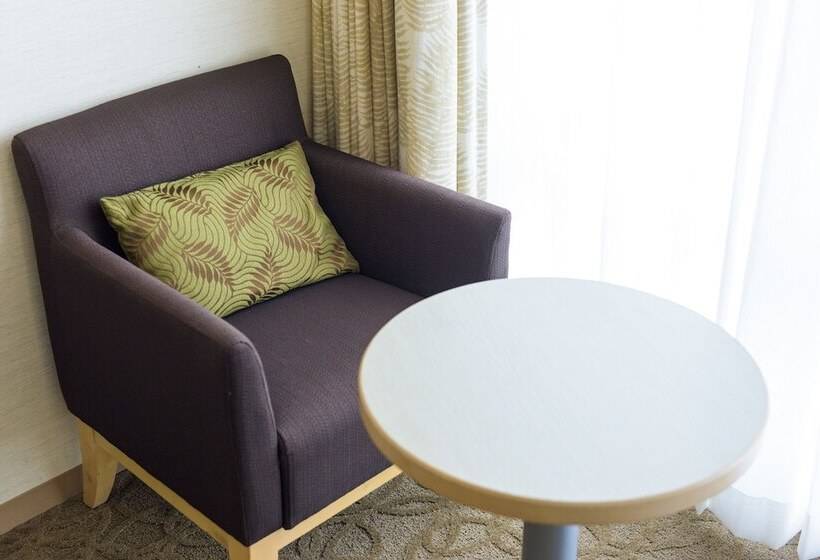 豪华房间, Nishitetsu Resort Inn Naha