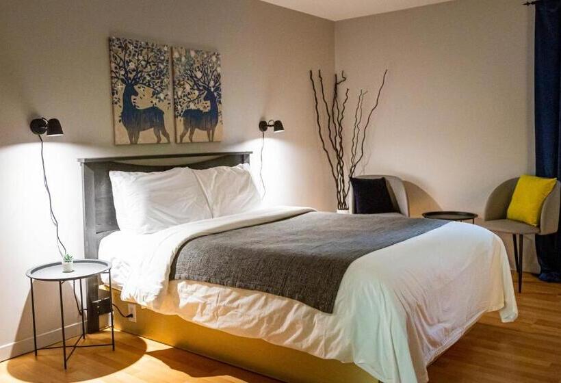 غرفة قياسية, S Hébert