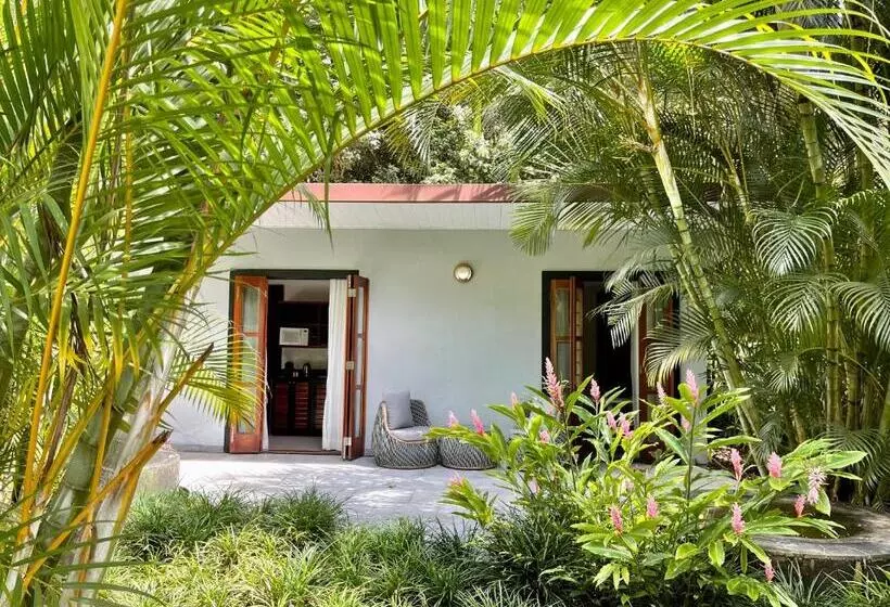 スイート, The Haven   Hotel & Spa, Health And Wellness Accommodation   Adults Only