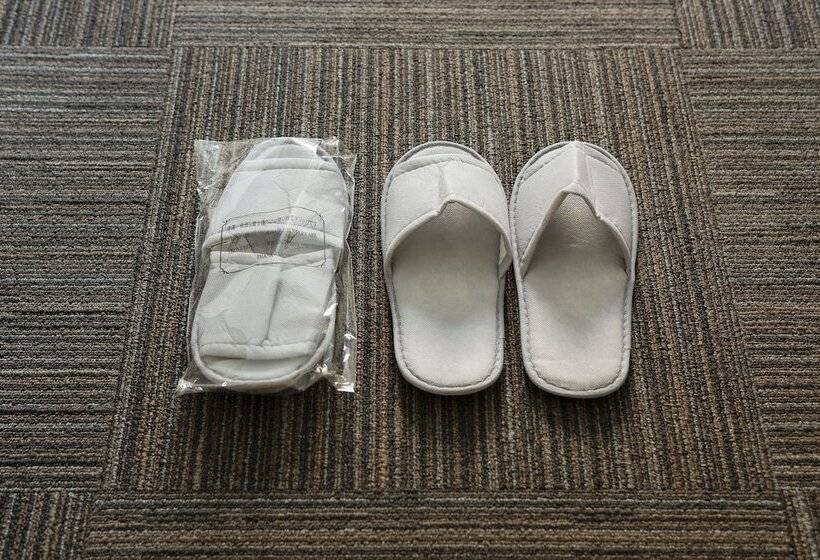 غرفة قياسية فردية, Tokushima Grandvrio