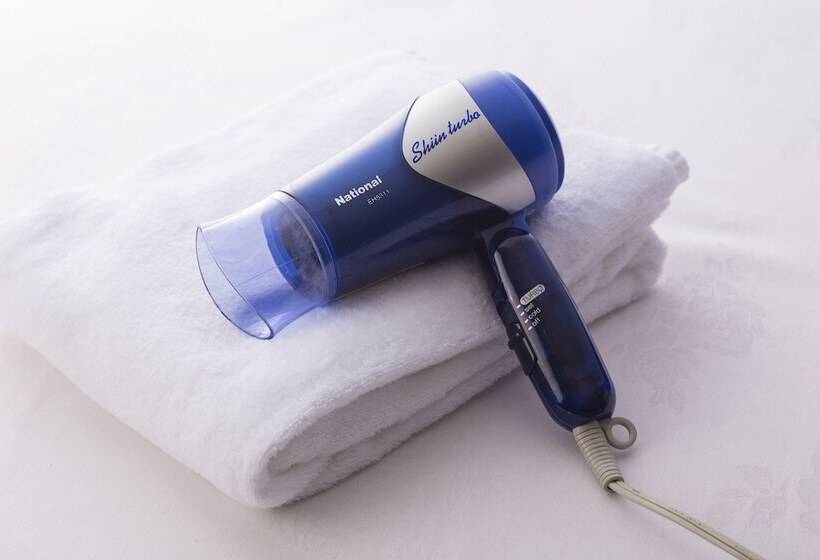 غرفة قياسية فردية, Tokushima Grandvrio