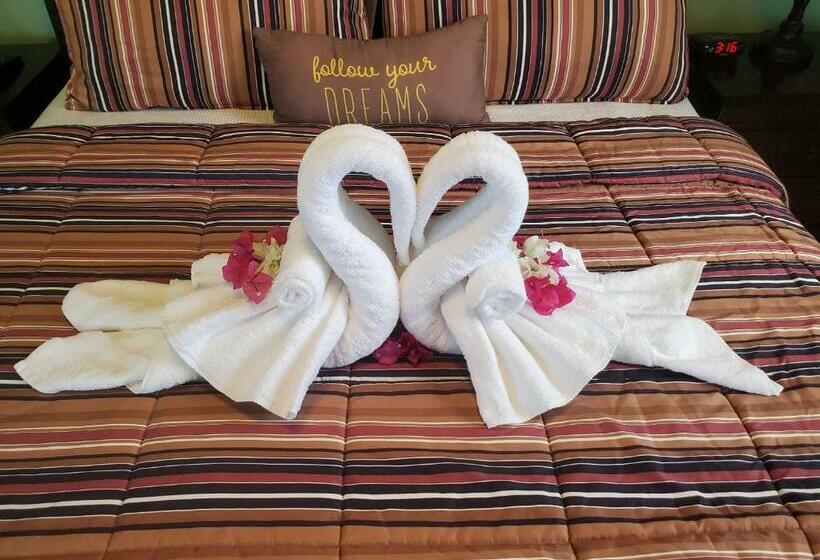 استودیوی استاندارد, Annasville Comfort Studio