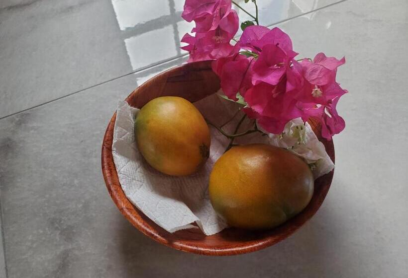 استودیوی استاندارد, Annasville Comfort Studio