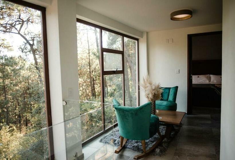 Apartamento 1 Dormitório com Vistas, Rm Avandaro