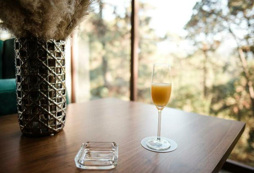 آپارتمان 1 خوابه با چشم‌انداز, Rm Avandaro