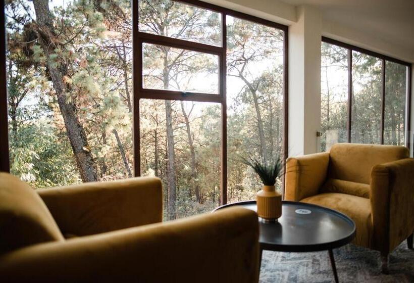 آپارتمان 1 خوابه با چشم‌انداز, Rm Avandaro