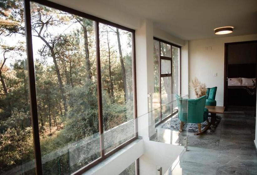 Apartamento 1 Dormitório com Vistas, Rm Avandaro