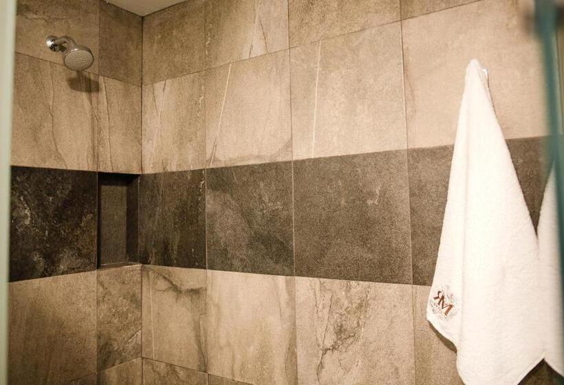 اتاق استاندارد با تخت بزرگ, Rm Avandaro