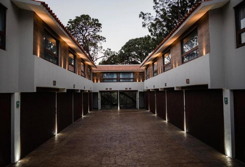 اتاق استاندارد با تخت بزرگ, Rm Avandaro