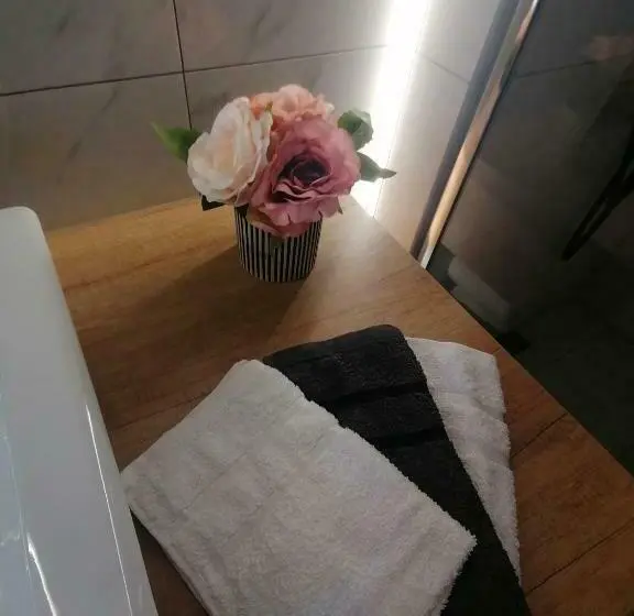 デラックスルーム, Cozy Rooms Toplita