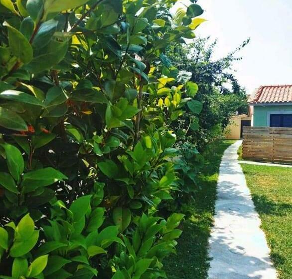 Четырехместный Номер Стандарт, Casas Do Paço   Casas De Férias