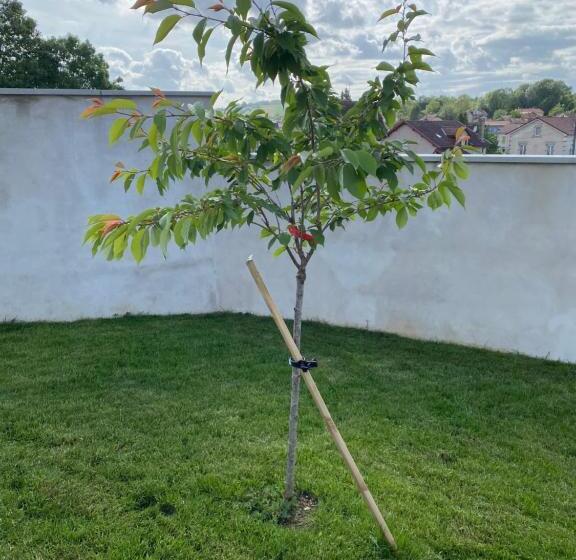 Семейный Номер, Olga Chambre D Hote