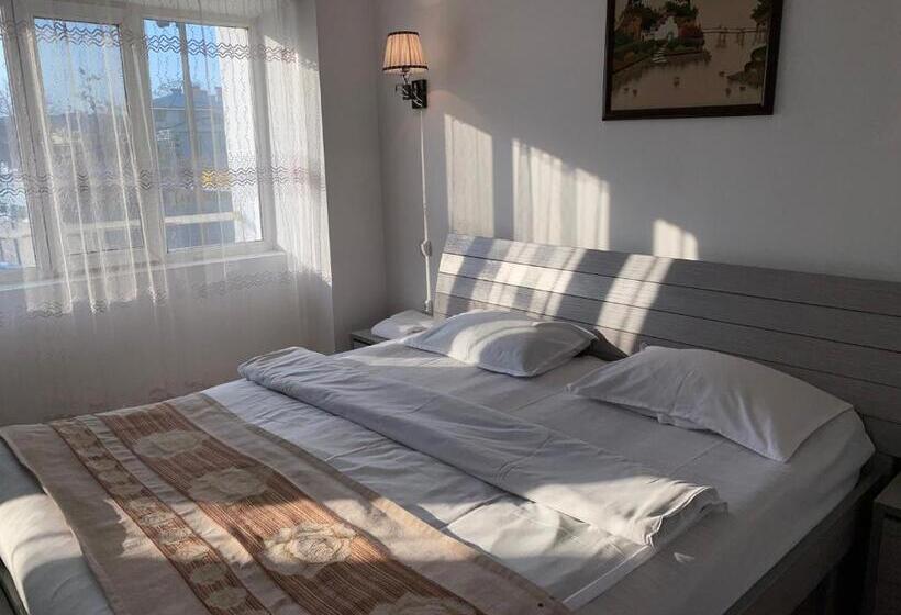 اتاق لوکس, Tourist