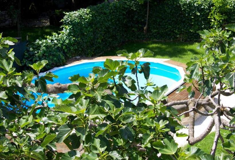 Дом 1 Спальня, Il Canto Degli Uccelli