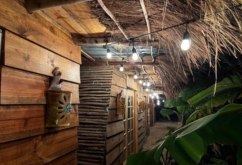 اتاق استاندارد, Luhme Tulum Hostel