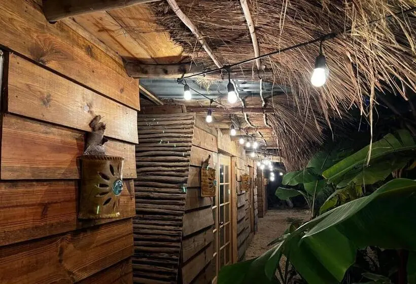 اتاق استاندارد, Luhme Tulum Hostel