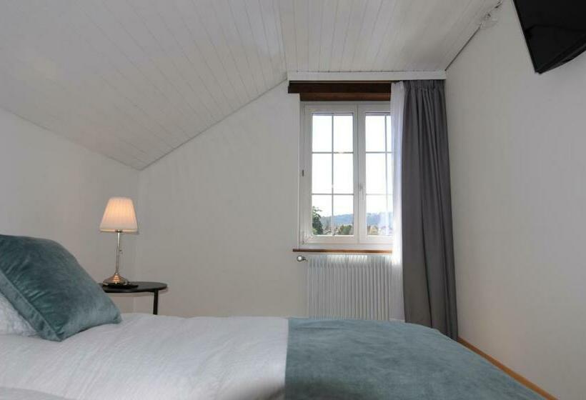 스탠다드 룸, Rheingerbe