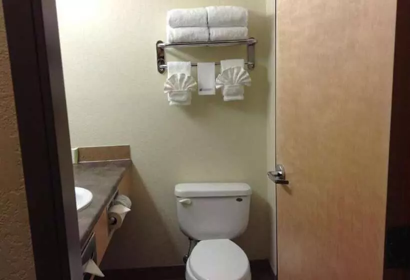 デラックスルーム, Lakeview Inns & Suites  Fort Nelson