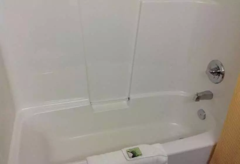 デラックスルーム, Lakeview Inns & Suites  Fort Nelson