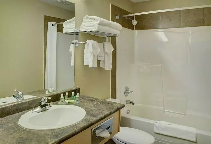デラックスルーム, Lakeview Inns & Suites  Fort Nelson