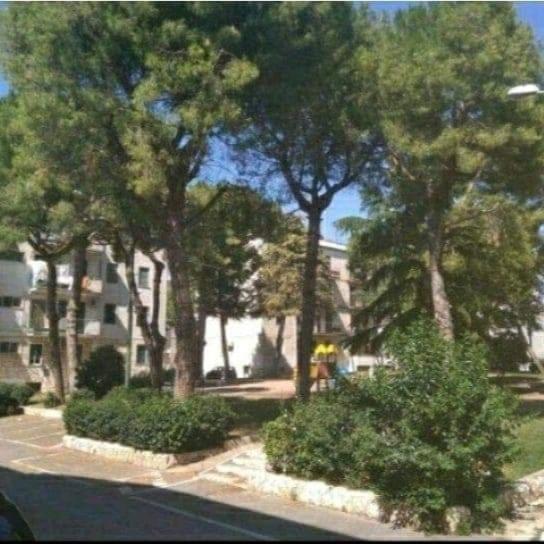 带共用浴室的标准房间, B&b Baby Park