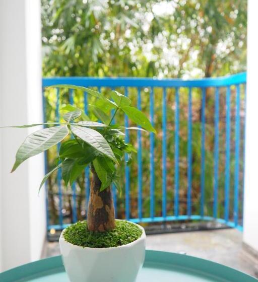 اتاق استاندارد با تخت بزرگ, Ivy House