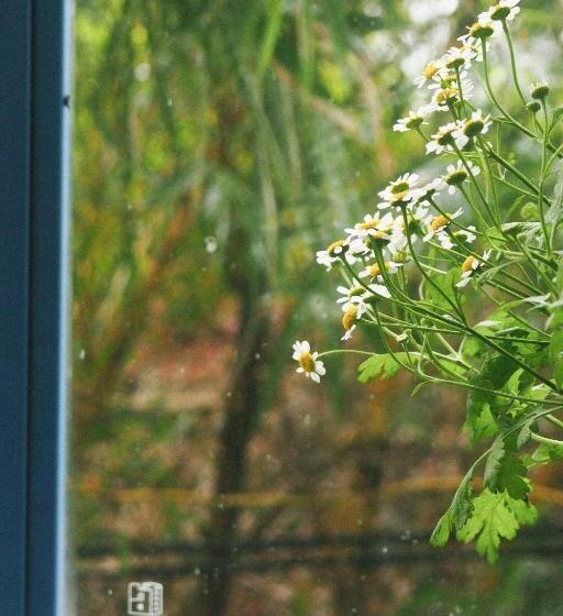 اتاق استاندارد با تخت بزرگ, Ivy House