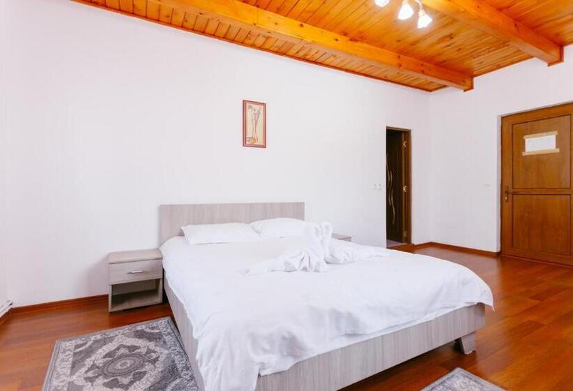 Номер Стандарт, Pensiunea Luka Slanic Moldova