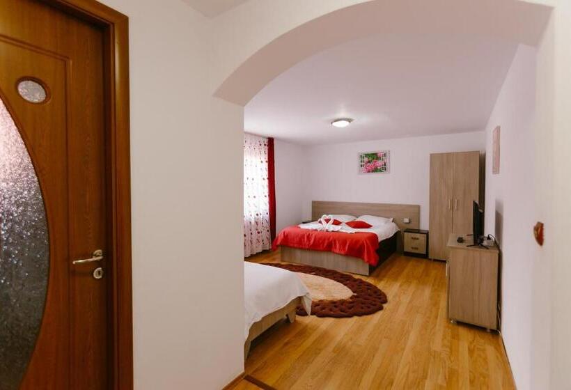 Номер Стандарт Трехместный, Pensiunea Luka Slanic Moldova