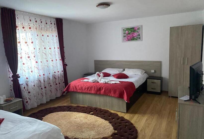 Номер Стандарт Трехместный, Pensiunea Luka Slanic Moldova