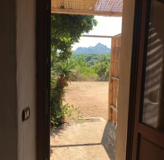 Quarto Deluxe, Li Casacci
