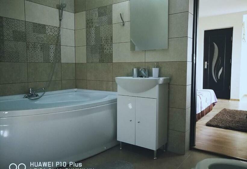 Номер Стандарт Вид на Бассейн, Casa Iris Murighiol