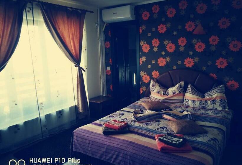 Номер Стандарт Вид на Бассейн, Casa Iris Murighiol