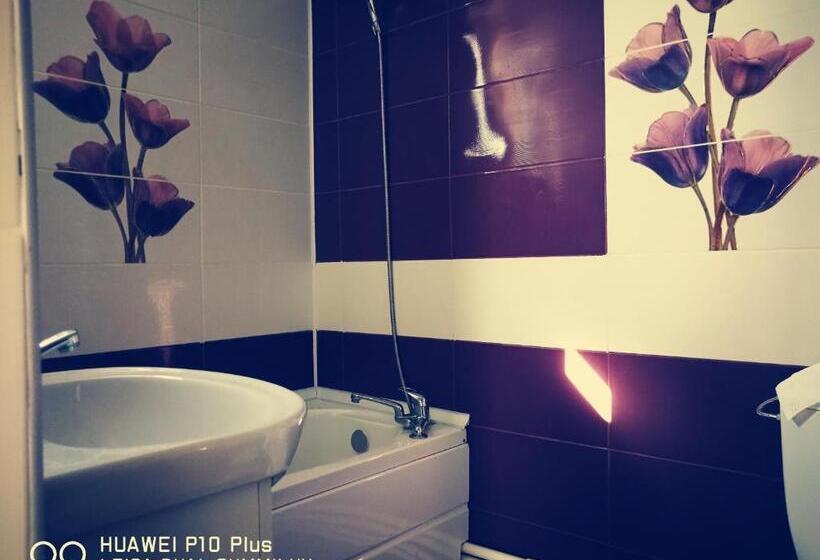 Трехместный Номер Стандарт с Балконом, Casa Iris Murighiol