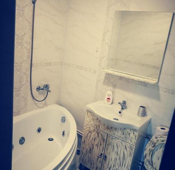 Номер Стандарт с Гидромассажем, Casa Iris Murighiol