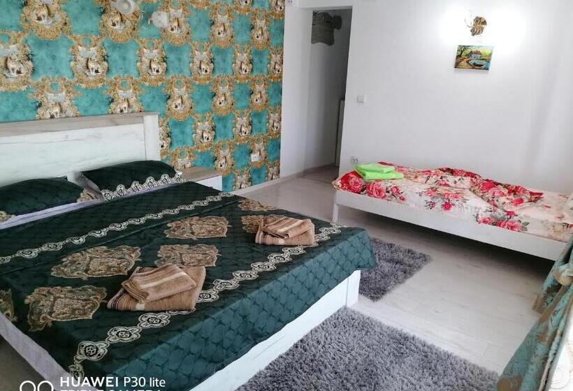 Трехместный Номер Стандарт Вид на Сад, Casa Iris Murighiol