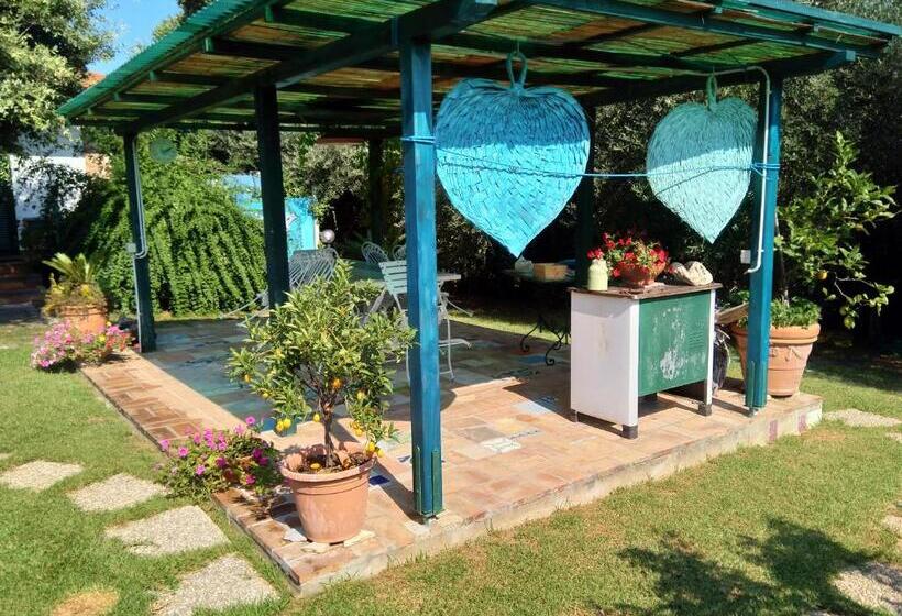 标准间, Il Brecciaro